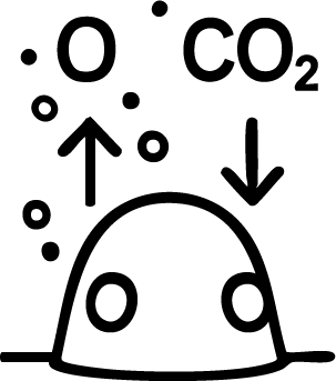 Oxygen